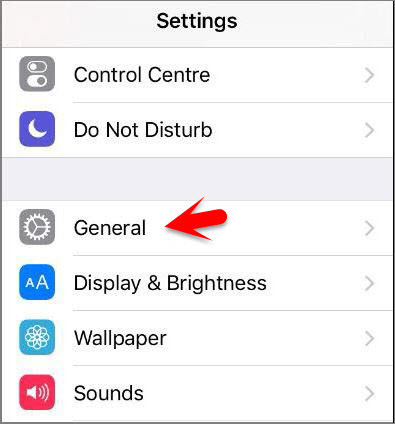 How to Enable and Use Switch Control On iOS Devices?