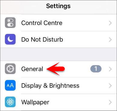 How to Change iOS Devices Screen Color to Black and White?