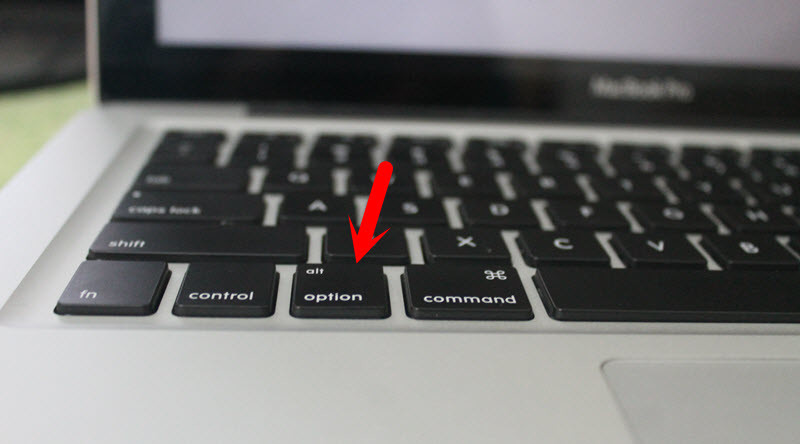 Press and Hold the Option Key