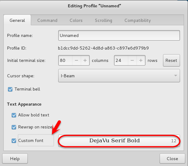 Change Terminal Font