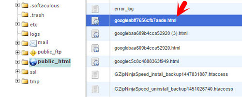 HMTL Verification File