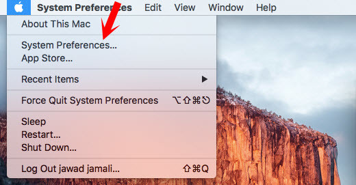 Mac System Preferences