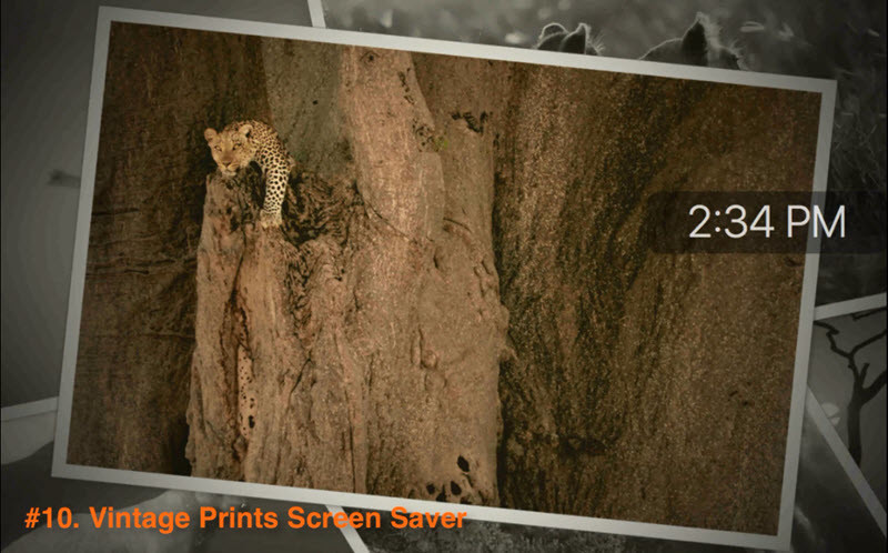 Vintage Prints Screen Saver