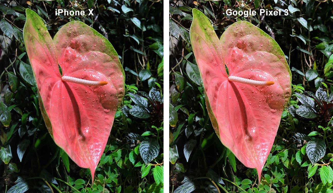 Iphones Camera Vs Google Pixel 3