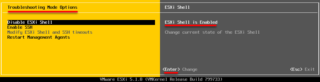 Enable Esxi Shell