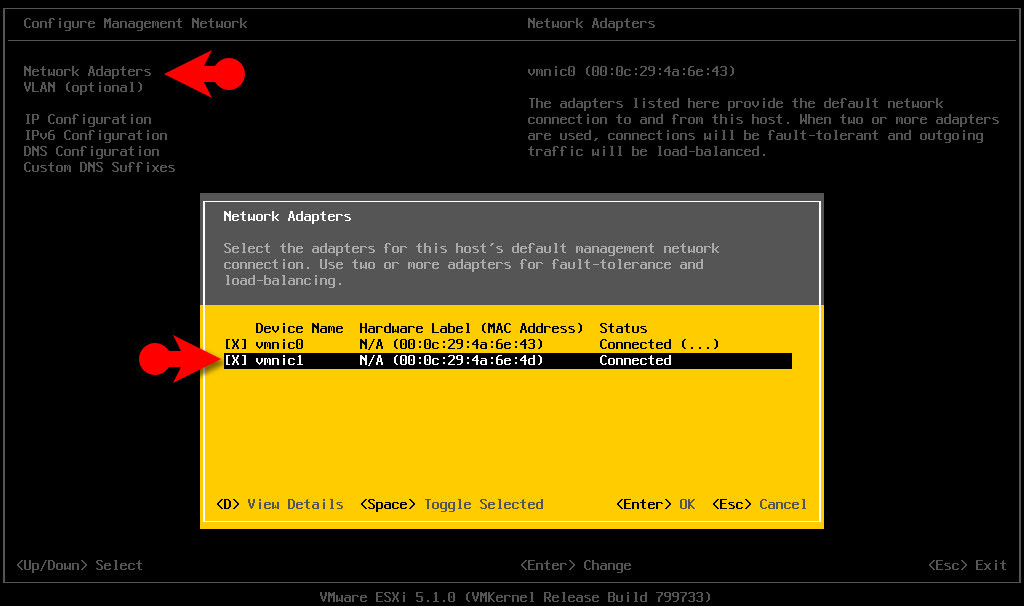 Enable Vmnic1