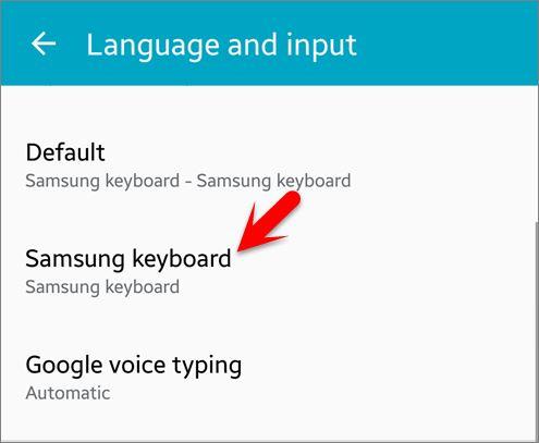 Language And Input