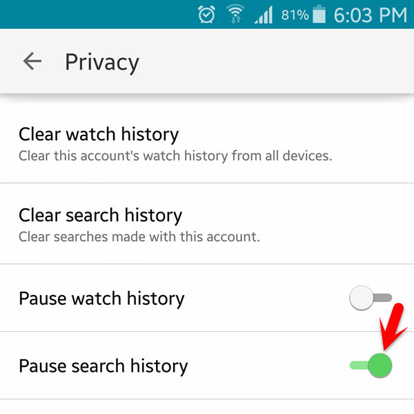 Pause Search History