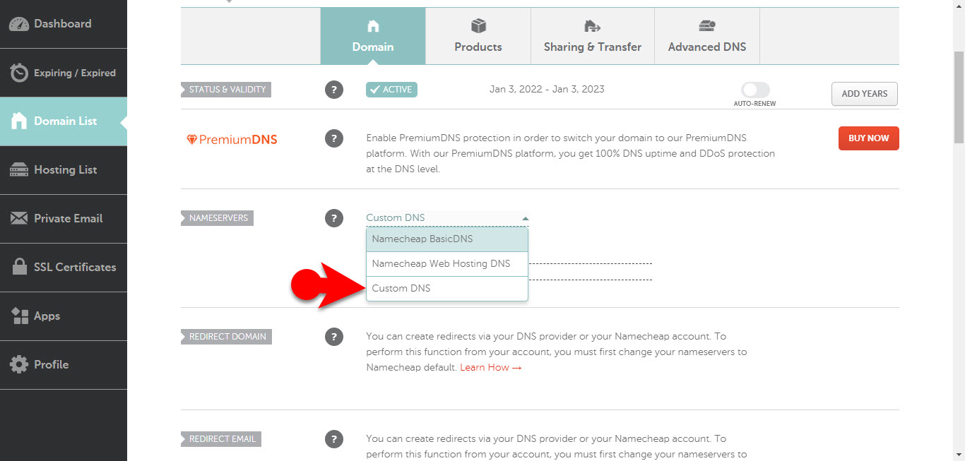 Custom Dns