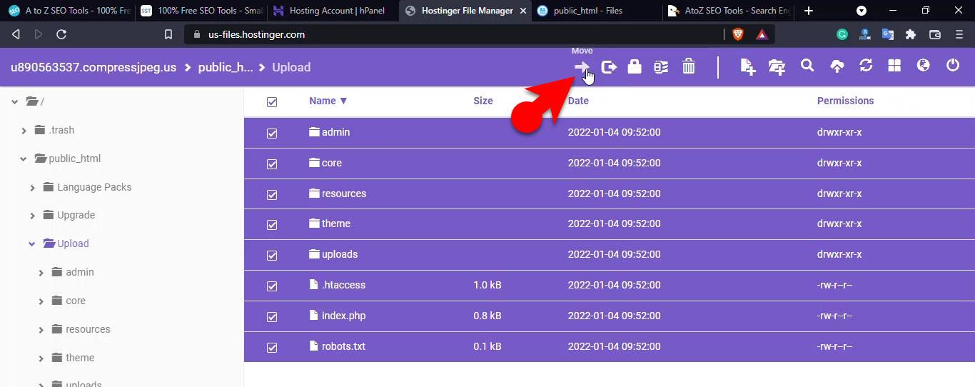 Move Files To Public Html Directory