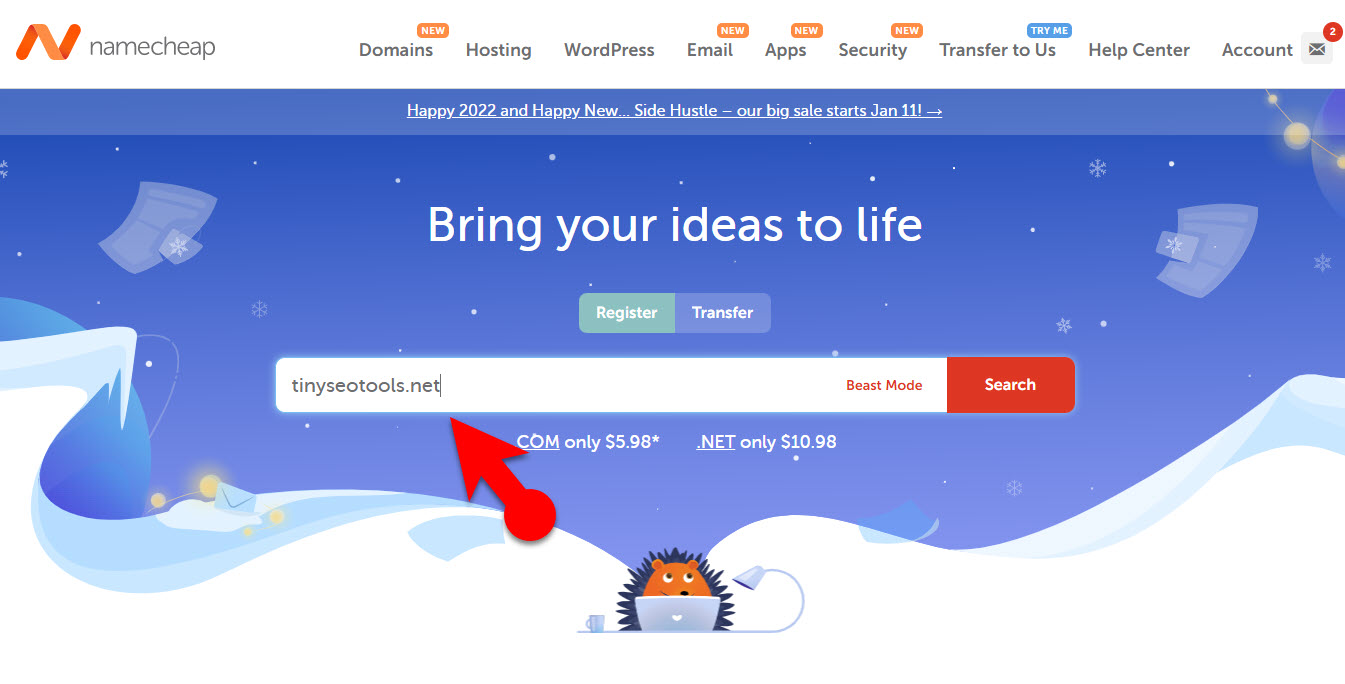 Search For The Domain