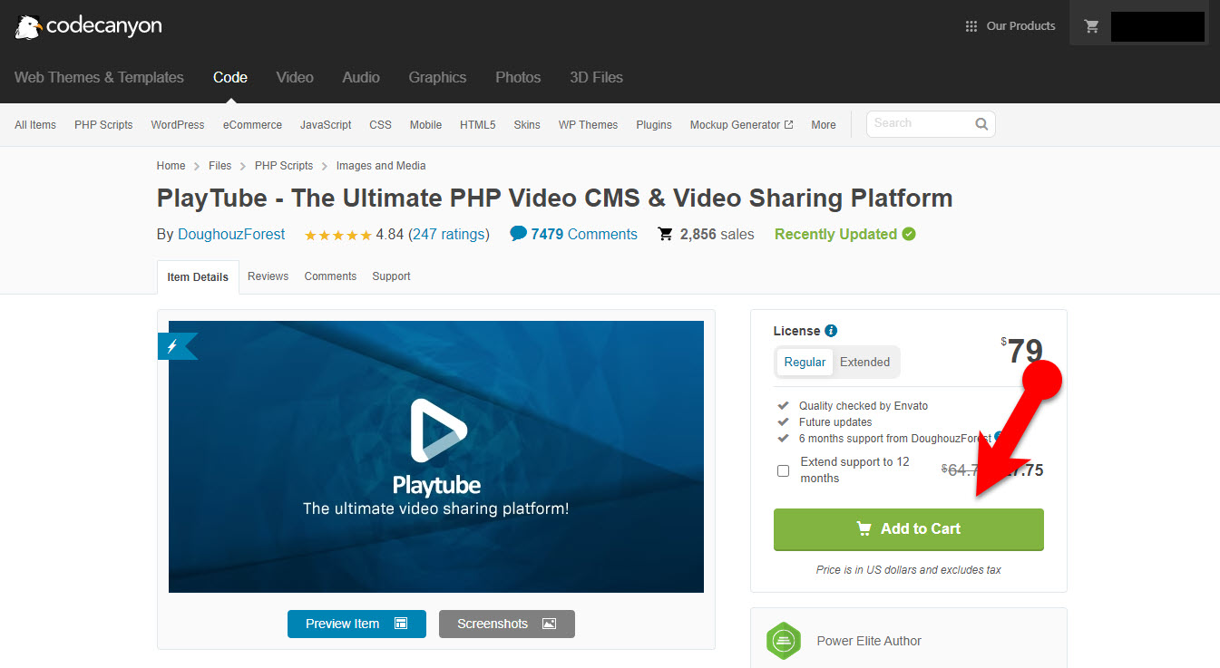 Purchase Playtube Script