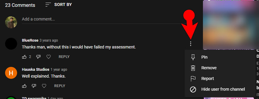 Remove Spam Comment