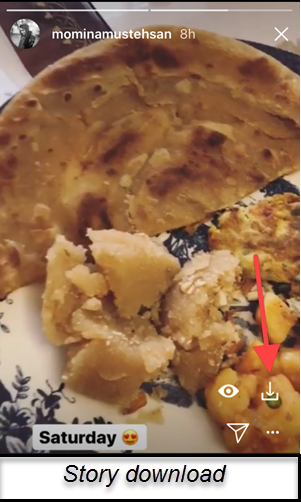 Laden Sie Instagram-Fotos Und -Videos Herunter