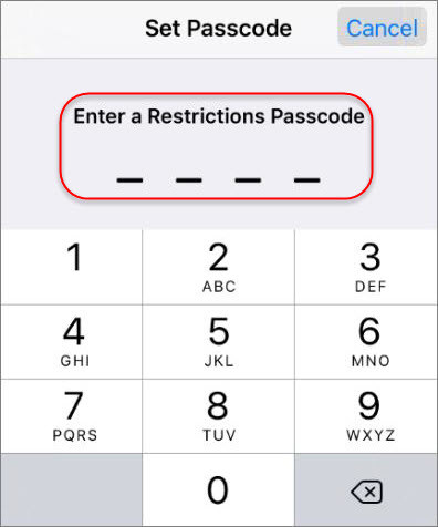 Set Passcode 2