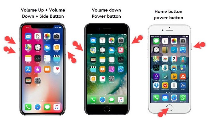 Iphone Data Recovery Mode