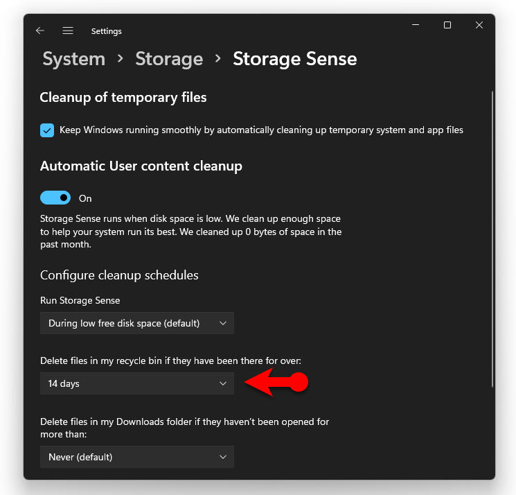 Storage Sense Settings