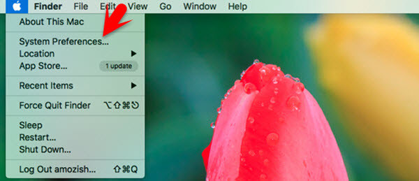 Apple System Preferences