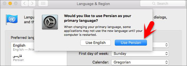 Use Primary Language
