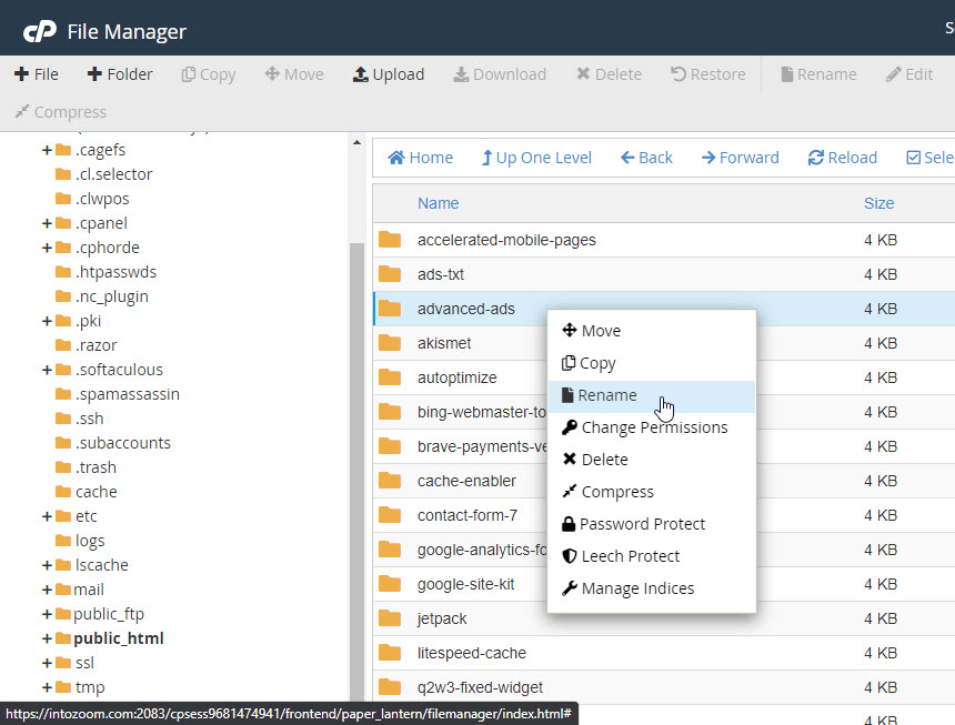 Rename The Plugin Cpanel