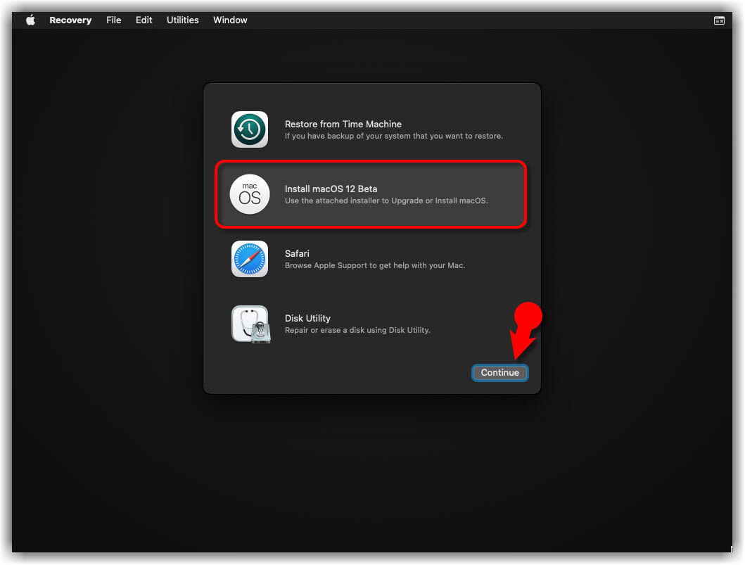 Choose Install Macos 12 Beta
