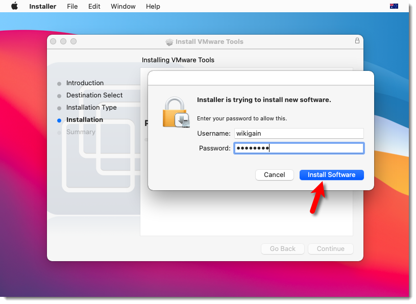 Click Install Software 2