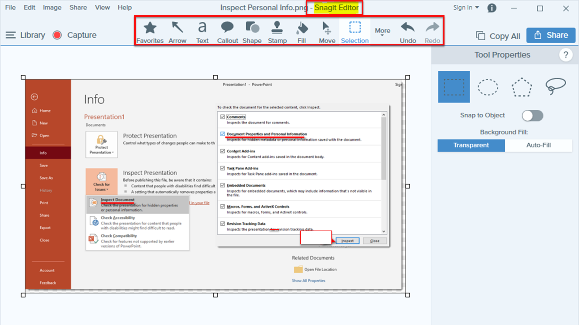 Snagit Editor