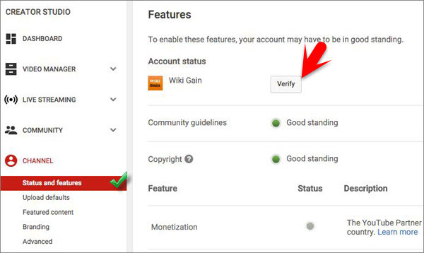 Youtube Channel Features