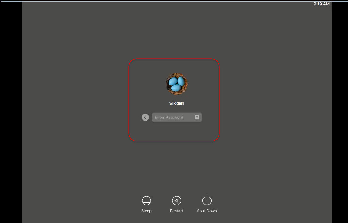 Log In
