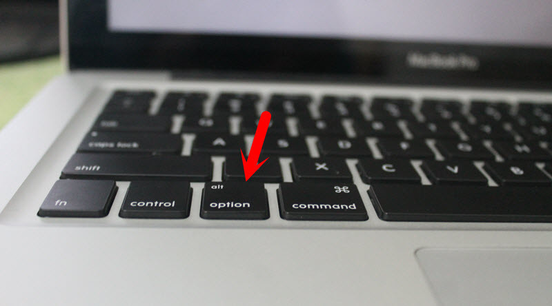 Press And Hold The Option Key