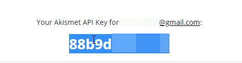 Akismet Api Key