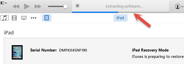 Extracting Software