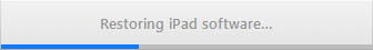 Restoring Ipad Software