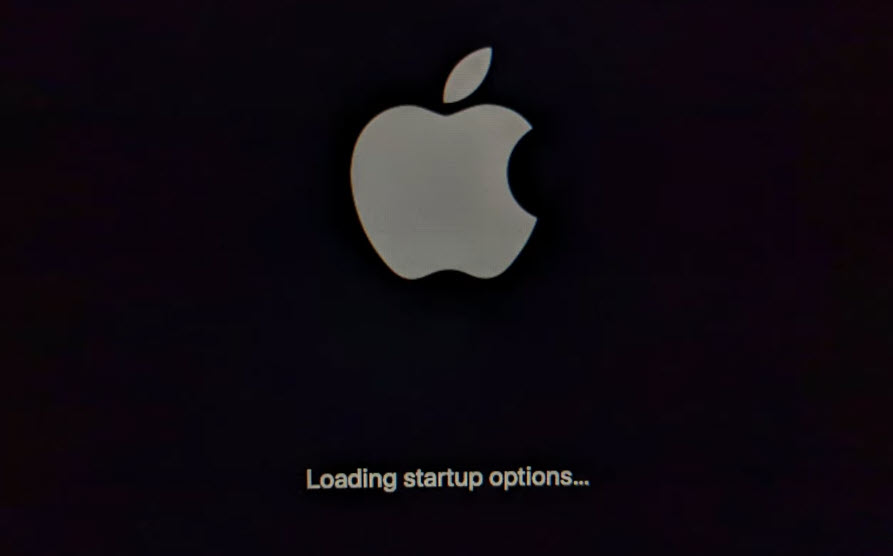 1 Loading Startup Options