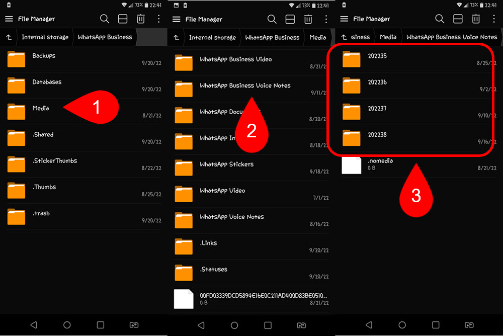 Path To Access The Whatsapp Audio Files