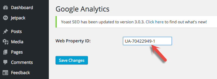 Start Up Google Analytics
