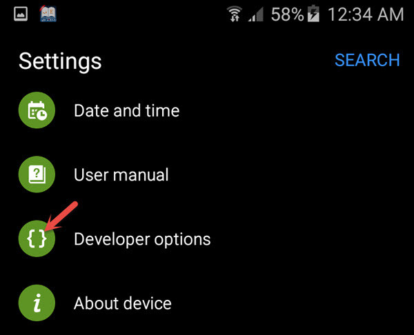 Developer Option