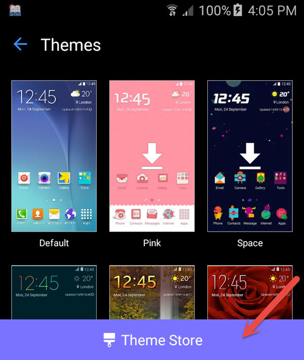 Theme Store
