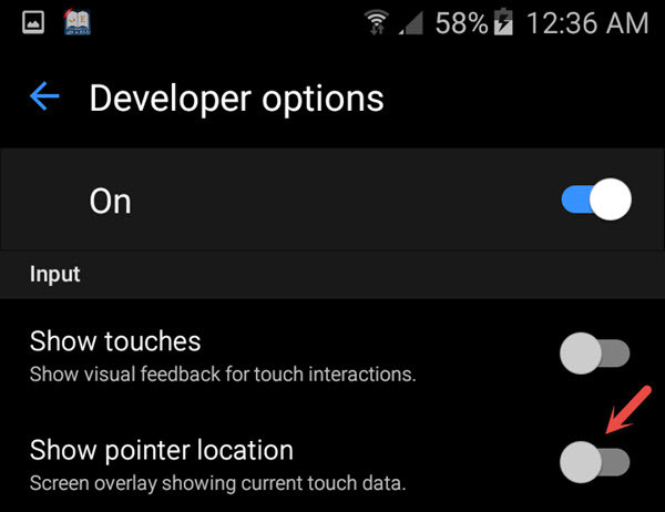 Turn On The Show Pointer Location