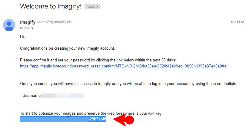 12 Copy The Imagify Api Key