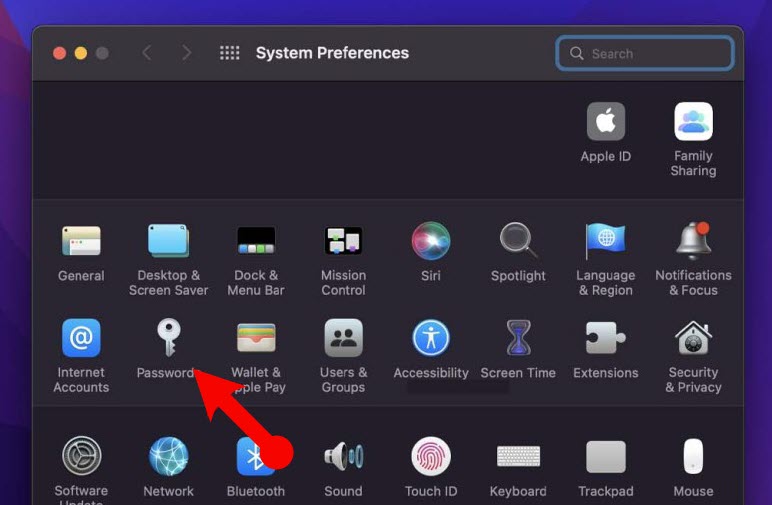 1 Password