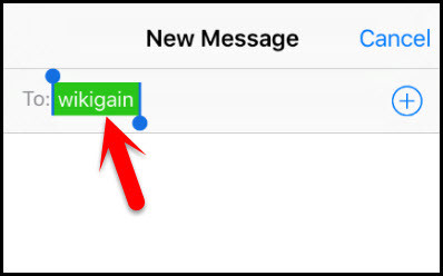 Select Wikigain 2