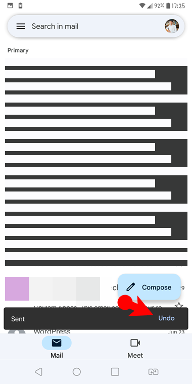 Undo Send Email