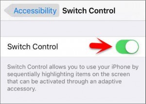 How to Enable and Use Switch Control On iOS Devices?