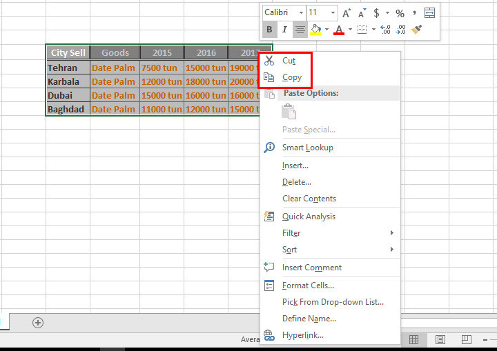 How to Use Advanced Copy Paste in Microsoft Excel 2016 wikigain