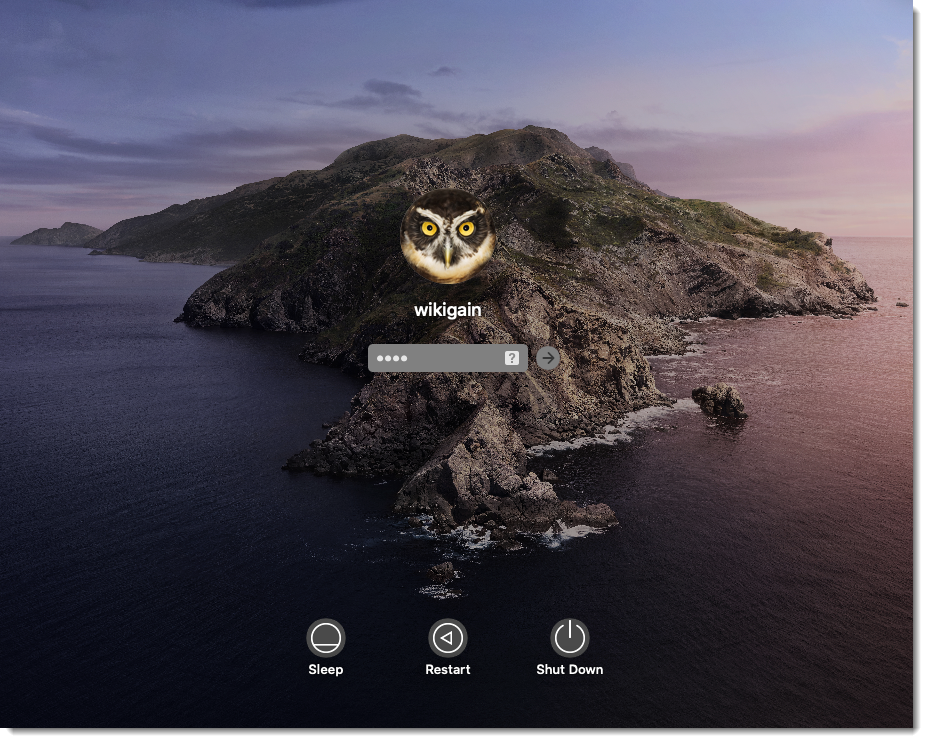 macos catalina 10.15 vmware image