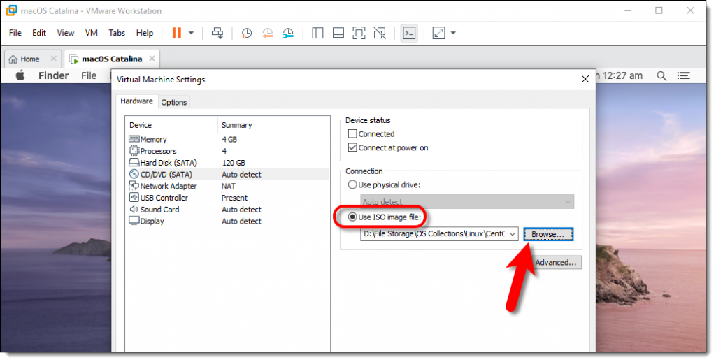 How to Install VMware Tools on macOS Catalina - wikigain
