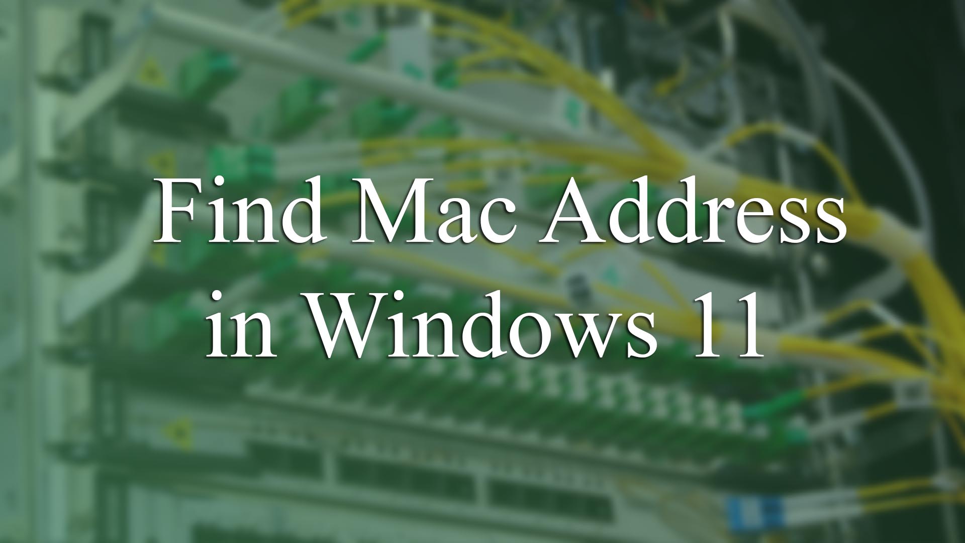 How to Find Mac Address in Windows 11?