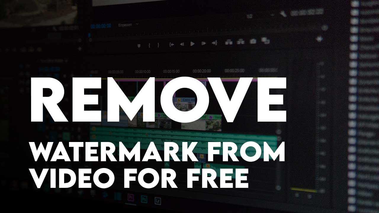 Easily Remove Any Watermark From Video for Free